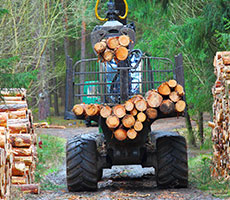 summary_industries_forestry.jpg